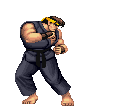 A GIF of Ryu performing his forward MP.
