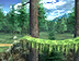 File:SSE-The Forest.png