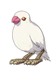 File:Brawl Sticker Sparrow (Magical Starsign).png