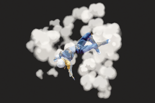 File:Sheik SSBU Skill Preview Up Special.png