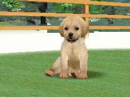 File:Nintendog-Origin.png