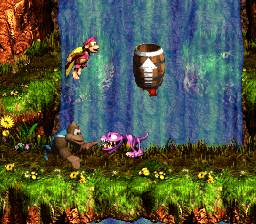 File:DKC3's Waterfall level.png