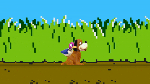 Duck Hunt's down taunt in Smash 4