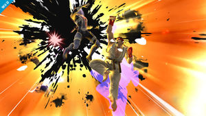 Ryu Screen-7.jpg
