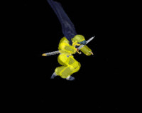 The hitbox of Marth's dair in Melee.