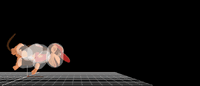 DiddyKongDashAttackSSB4.gif