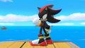 Shadow's pose after performing Chaos Control in Ultimate.