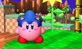 KirbySonicHat.jpg
