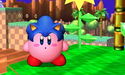 KirbySonicHat.jpg