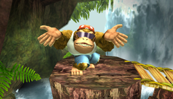 DK R P+.png