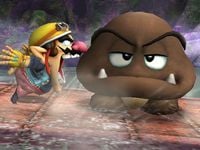 Giant Goomba in the SSE, as well as Wario.
