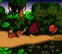 DK performing the Hand Slap in DKC.