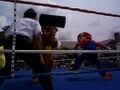 DK and Mario duking it out in the ring.