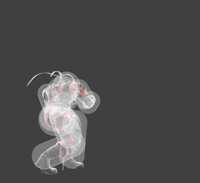 SnakeJab3SSBU.gif