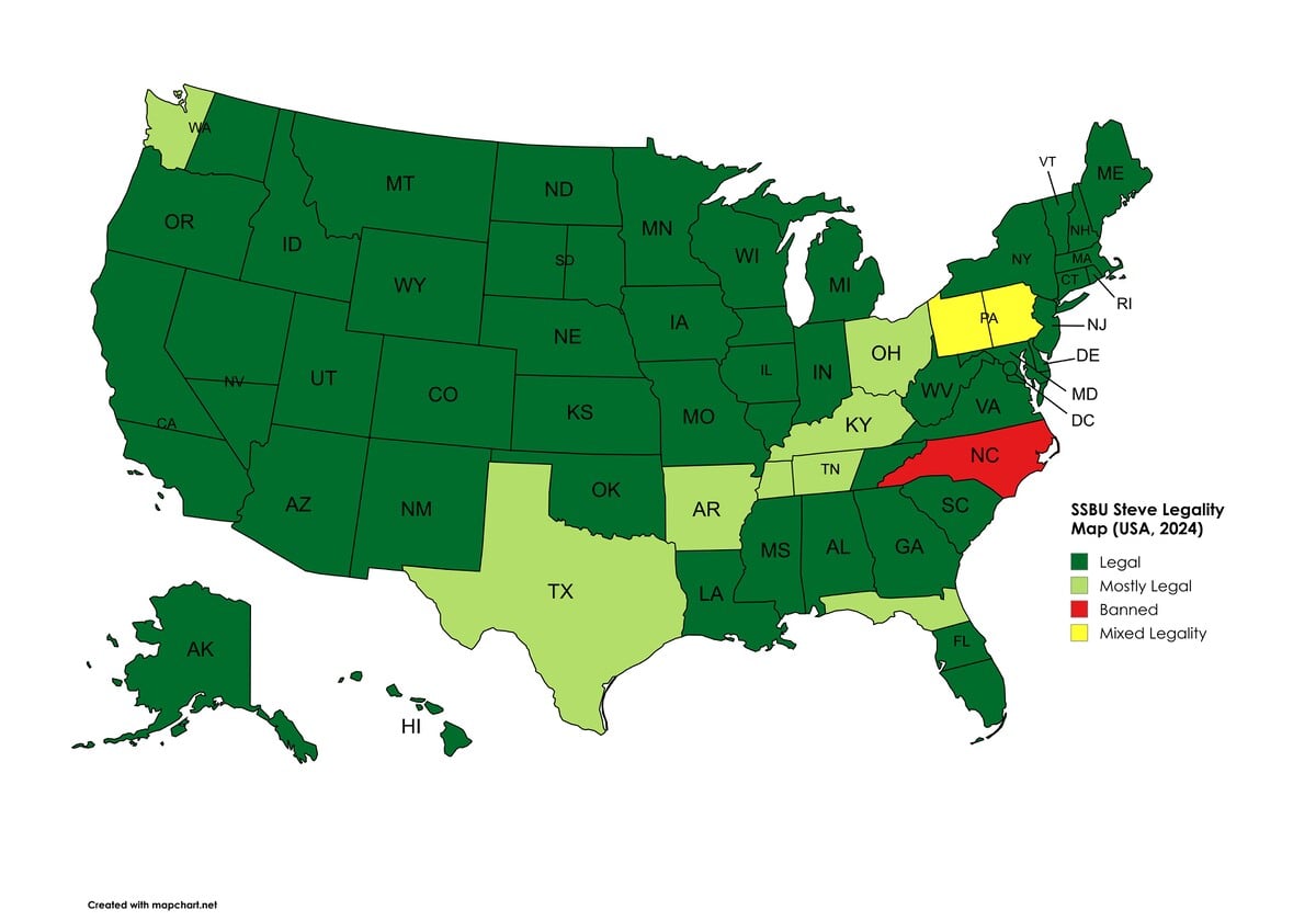 File:Steve Legality Map 2024.jpg - SmashWiki, the Super Smash Bros. wiki
