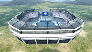 300px-Midair_Stadium_Brawl.png