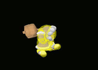 IceClimbersFSmashSSBM.gif