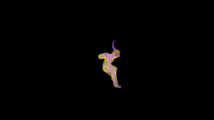 Category:Female Wire Frame (SSBM) - SmashWiki, the Super Smash Bros. wiki