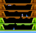 The seal Topi in Ice Climber.