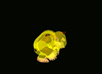 DonkeyKongFSmashSSBM.gif