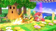 SSBU Terry Kirby.jpg