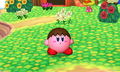 KirbyVillager3DS.jpeg