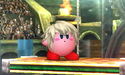 KirbyRobin3DS.jpeg