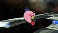 Kirby Falco Wii U.jpeg