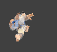 Banjo&KazooieFAirSSBU.gif