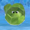 A cabbage in Ultimate.