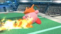 Kirby Charizard Wii U.jpeg