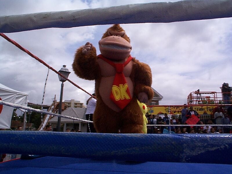 File:Slamfest '99 - Donkey Kong photograph .jpg