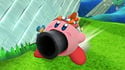 Kirby Bowser Jr Wii U.jpeg