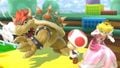 Defended from Bowser by Toad on 3D Land.