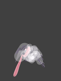 GreninjaUAirSSBU.gif