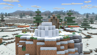 Snowy Tundra biome