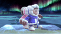 Ice Climbers' second idle pose.