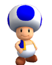 Toad PM.png