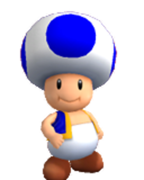 File:Toad PM.png