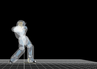ZSSFTiltUpSSB4.gif