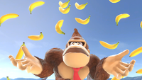 Hook, Donkey Kong Wiki