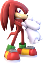 Project + Knuckles.png