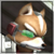 FoxIcon(SSBB).png