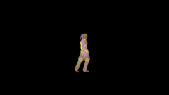 Category:Female Wire Frame (SSBM) - SmashWiki, the Super Smash Bros. wiki