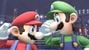 Mario and Luigi both staring at each other in SSB4.