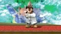 Dr. Mario's first idle pose