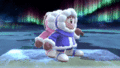 Ice Climbers' first idle pose.