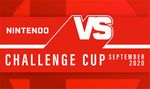 Adding the image of the upcoming tournament for Official Tourney Qualifiers
Image Source: https://smashbros.nintendo.com/tournament/
