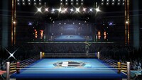 Boxing Ring Light Fixture.jpg