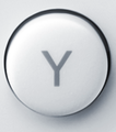 The Wii U GamePad's Y button.